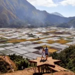 Bukit Selong Tempat Wisata yang Dapat Menikmati Keindahan Gunung Rinjani